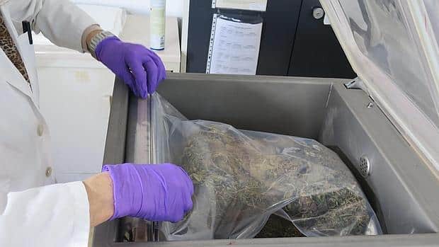 outras-utilizações-máquina-de-embalagem-al-vacio