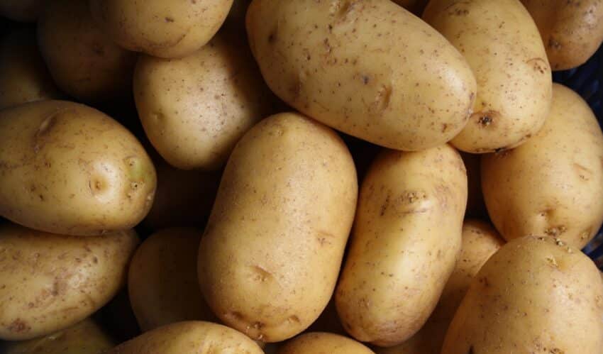 receitas de batatas para restaurantes